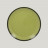 Тарелка круглая RAK Porcelain LEA Light green (зеленый цвет) 24 см 81223522